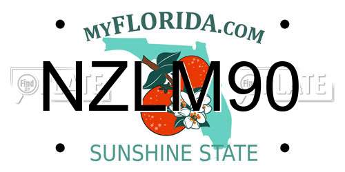NZLM90 Florida License Plate