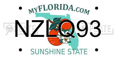 NZLQ93 Florida License Plate
