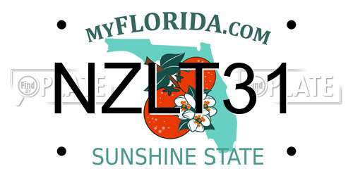 NZLT31 Florida License Plate