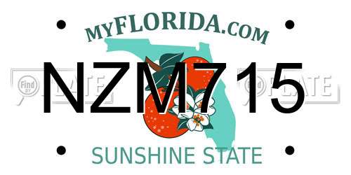 NZM715 Florida License Plate