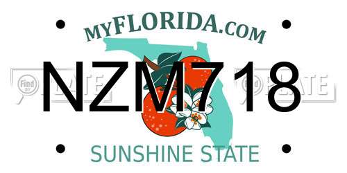 NZM718 Florida License Plate