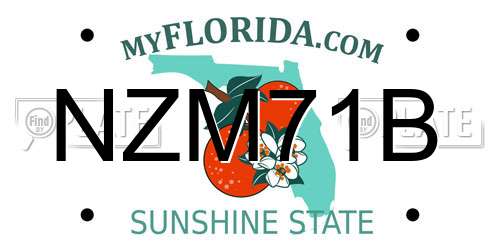 NZM71B Florida License Plate