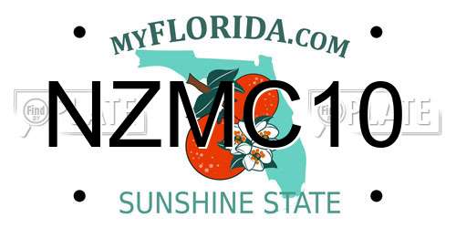 NZMC10 Florida License Plate
