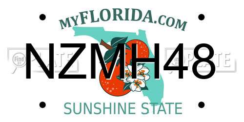 NZMH48 Florida License Plate