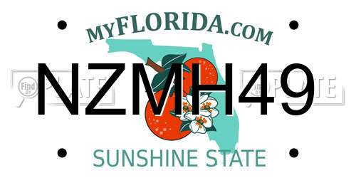 NZMH49 Florida License Plate