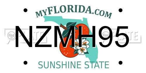 NZMH95 Florida License Plate