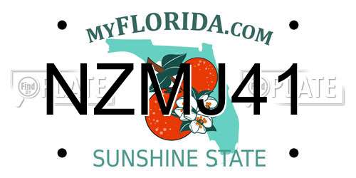 NZMJ41 Florida License Plate