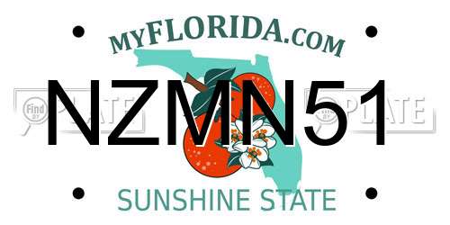 NZMN51 Florida License Plate