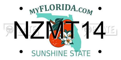 NZMT14 Florida License Plate