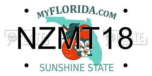 NZMT18 Florida License Plate