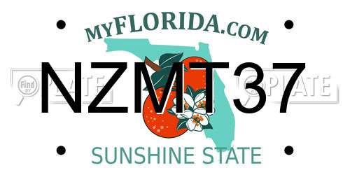 NZMT37 Florida License Plate