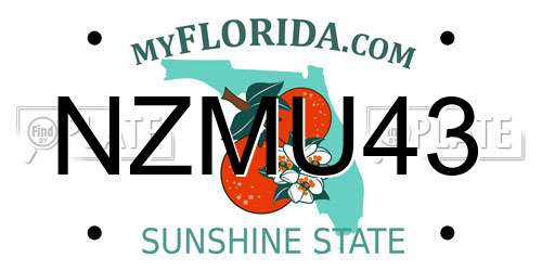 NZMU43 Florida License Plate