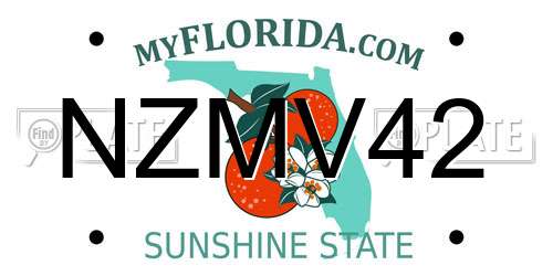 NZMV42 Florida License Plate