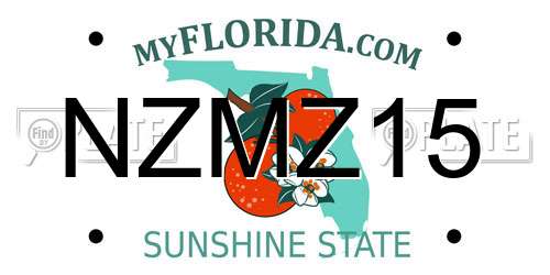 NZMZ15 Florida License Plate