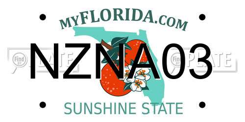 NZNA03 Florida License Plate