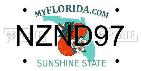 NZND97 Florida License Plate