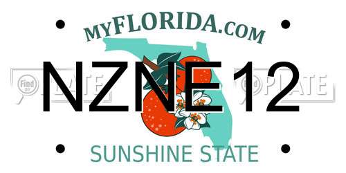 NZNE12 Florida License Plate