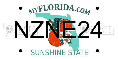 NZNE24 Florida License Plate
