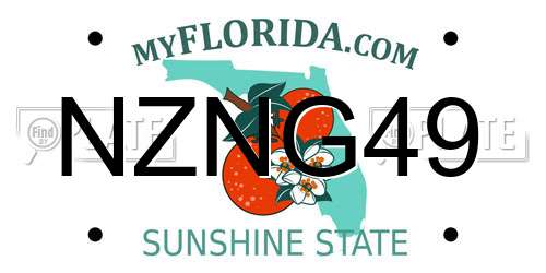 NZNG49 Florida License Plate