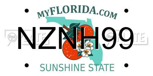 NZNH99 Florida License Plate