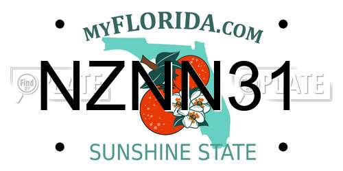 NZNN31 Florida License Plate