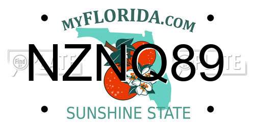 NZNQ89 Florida License Plate