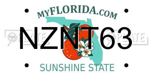 NZNT63 Florida License Plate