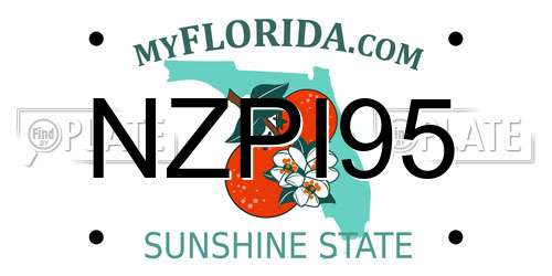 NZPI95 Florida License Plate