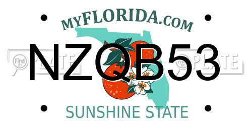 NZQB53 Florida License Plate