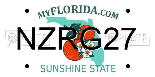 NZRG27 Florida License Plate
