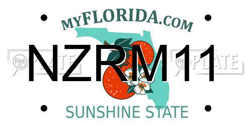 NZRM11 Florida License Plate