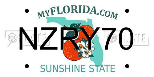 NZRY70 Florida License Plate