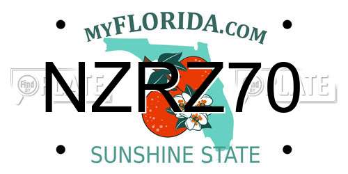 NZRZ70 Florida License Plate