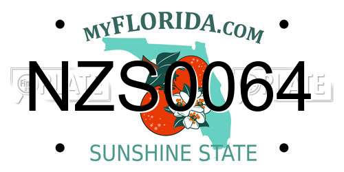 NZS0064 Florida License Plate