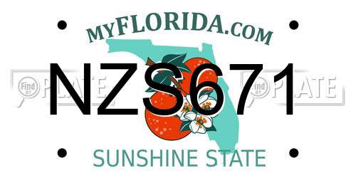 NZS671 Florida License Plate