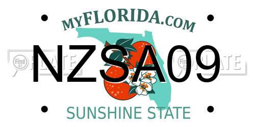 NZSA09 Florida License Plate
