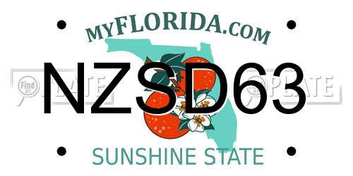 NZSD63 Florida License Plate