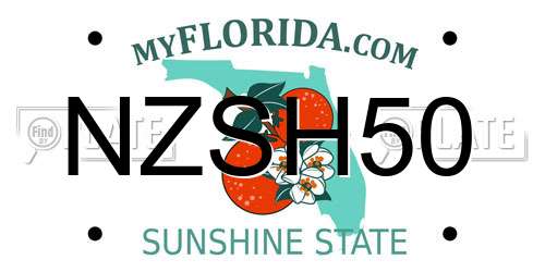 NZSH50 Florida License Plate