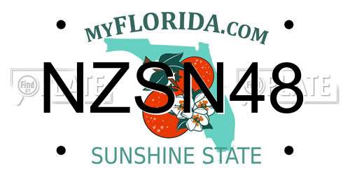 NZSN48 Florida License Plate