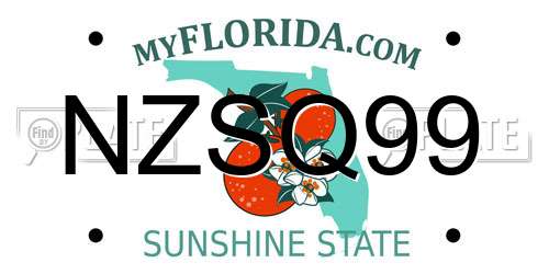 NZSQ99 Florida License Plate