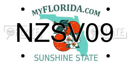 NZSV09 Florida License Plate