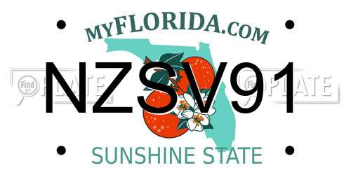 NZSV91 Florida License Plate