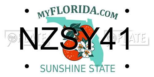 NZSY41 Florida License Plate