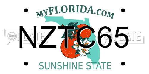 NZTC65 Florida License Plate