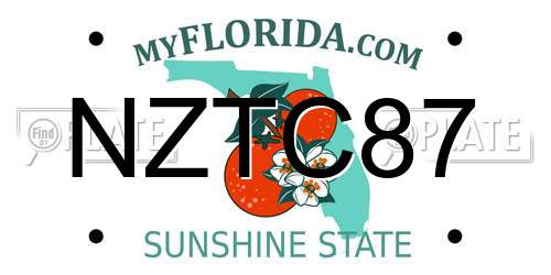 NZTC87 Florida License Plate