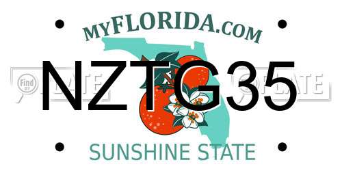 NZTG35 Florida License Plate