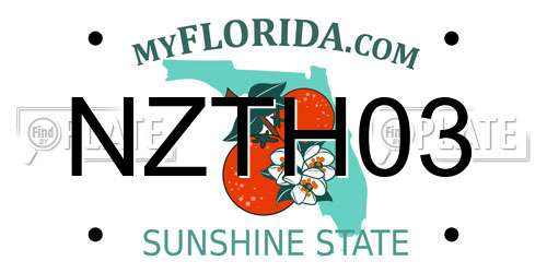 NZTH03 Florida License Plate