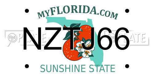 NZTJ66 Florida License Plate