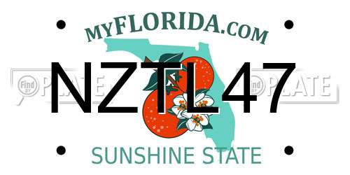 NZTL47 Florida License Plate