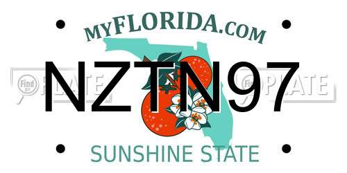 NZTN97 Florida License Plate